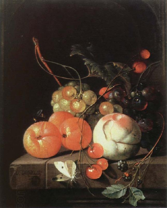 Jan Davidz de Heem still life of fruit China oil painting art